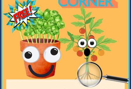 Crazy Cress & Plant Detectives!