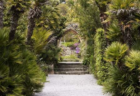 Tresco Abbey Garden