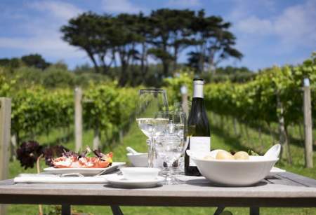 HolyVale Vineyard & Winery
