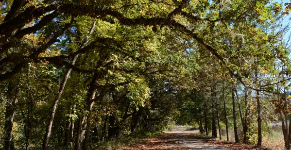 Cascara Campground