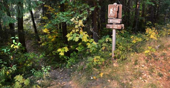 Middle Fork Willamette Trail #3609
