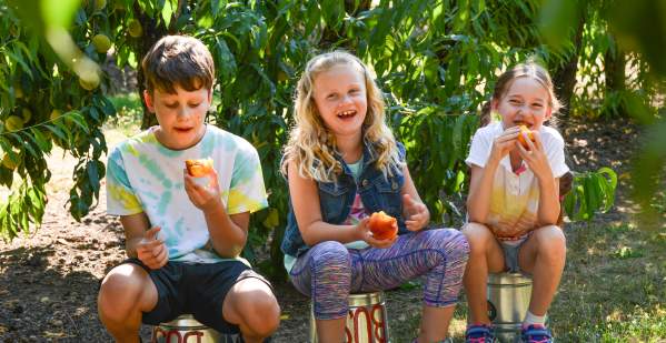 Family Friendly Farms Tour