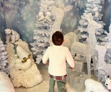 Christmas Portraits