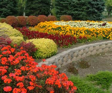 NEW Boulevard Flower Gardens