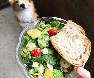 Chopt Creative Salad