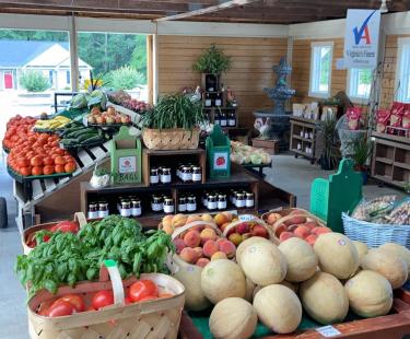 hanover veggie farm