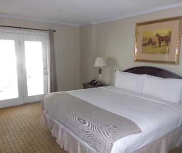 Terrace Suite 2