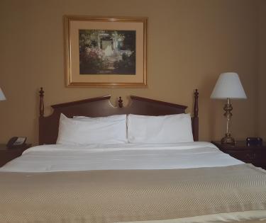 King Suite 2