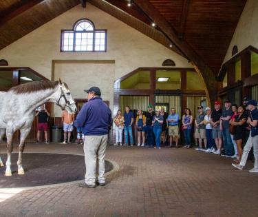Horse Country tour at Three Chimneys Farm