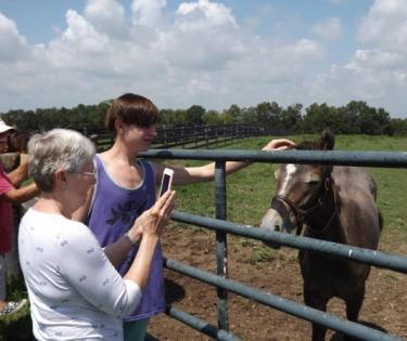 Horse Farm Tours, Inc.