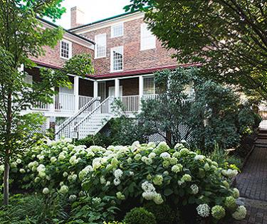 Exterior-Back gardens at MTL House