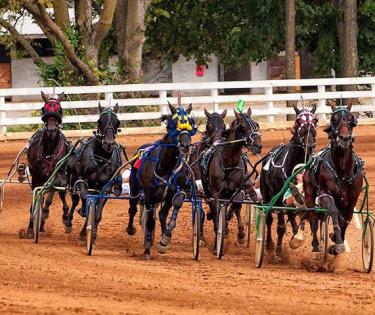 Red Mile Track