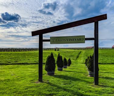 Talon Winery Sign