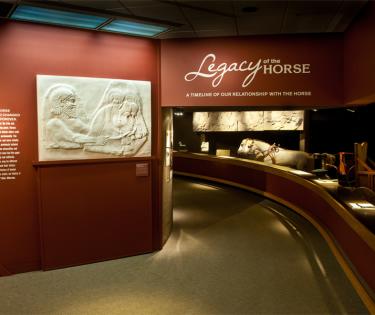 International Museum of the Horse: Lexington, KY