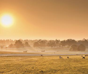 Kentucky Horse Park, Lexington
