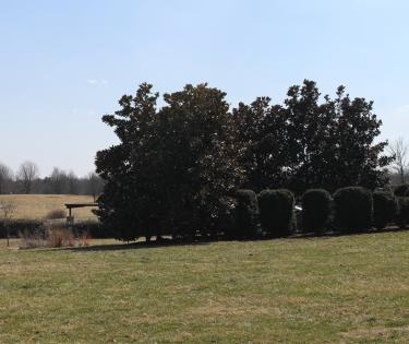 The Arboretum, Lexington