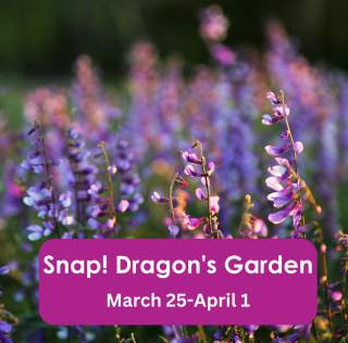 Snap! Dragon's Garden
