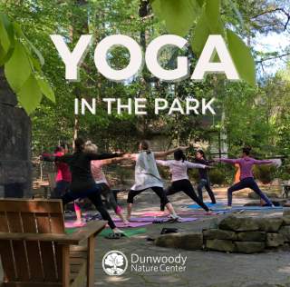 Yoga in the Park!
