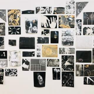 Elysium Gallery