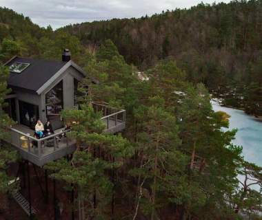 Kristiansand Tretopphytter