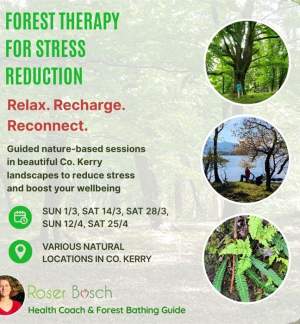 Forest Therapy for Stress Reduction