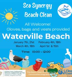 Sea Synergy Beach Cleans