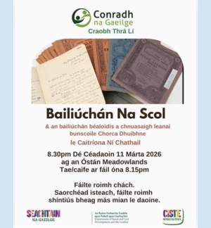 Bailiúchán na Scol