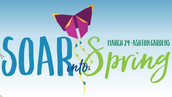 Soar into Spring