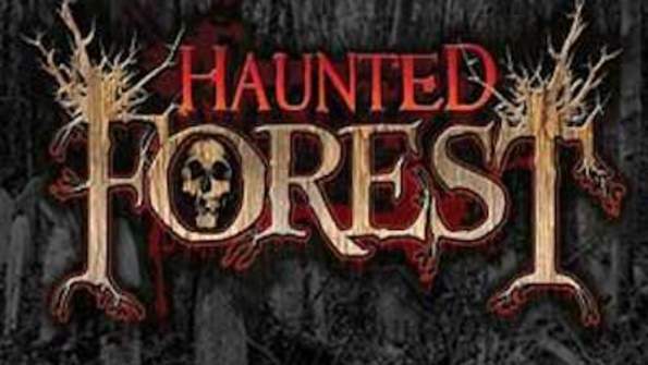 2025 Haunted Forest