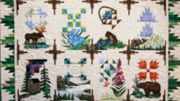 Pieced Together: The Art and Meaning of Carol Ford’s Quilts