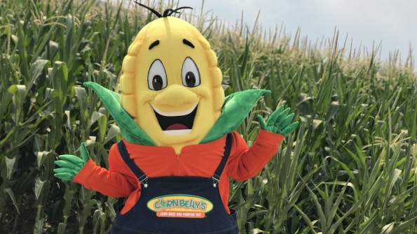 Cornbelly's Corn Maze & Pumpkin Fest 2025
