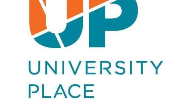 2025 Christmas Lights in The Orchard