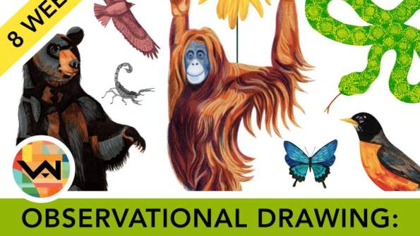Observational Drawing: Animals and Nature (Ages 12+)