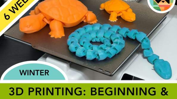 3D Printing: Beginning & Intermediate (Ages 12+)