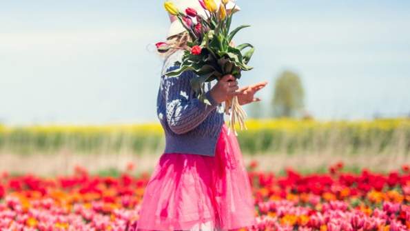 Utah Tulip Festival 2026