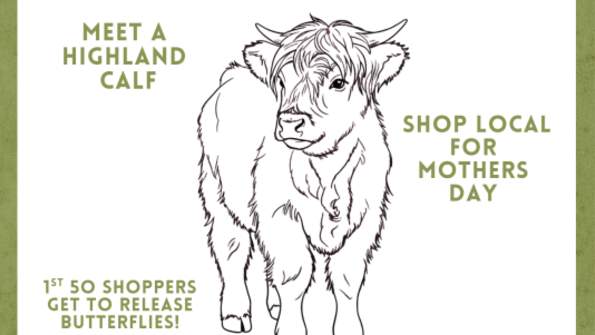 Utah’s Own 2nd Annual Spring Market