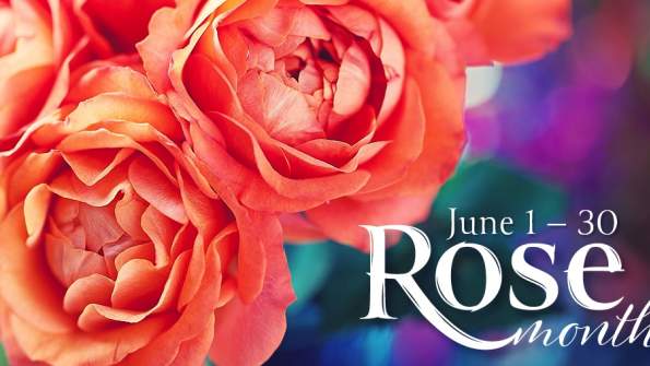 Rose Month 2026