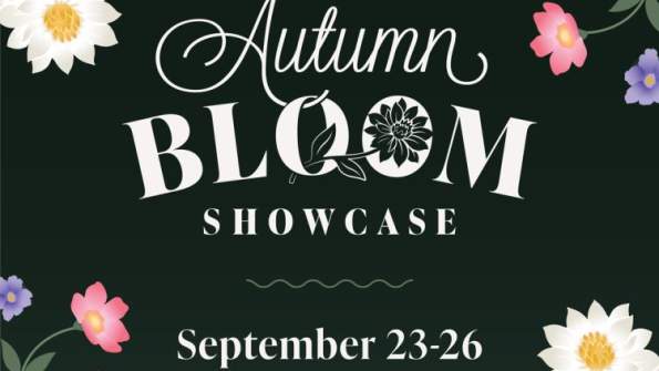 Autumn Bloom Showcase