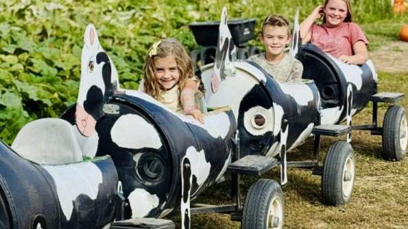 Glen Ray's Corn Maze and Pumpkin Patch 2026