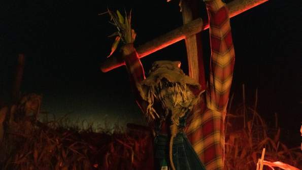 Field of Fright 2026
