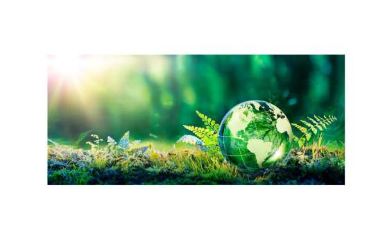 ICCA 61st Congress Sustainability Measurement Report – Spotlight on Kraków