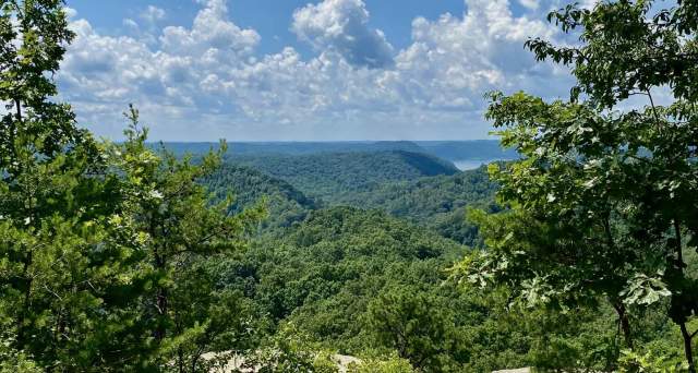 Daniel Boone National Forest