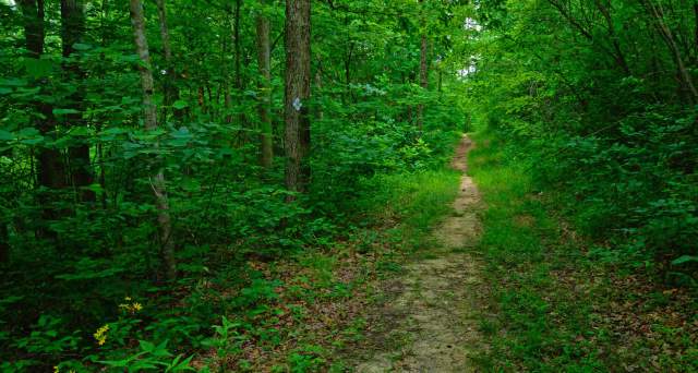 Sheltowee Trace National Recreation Trail- Northern Terminus