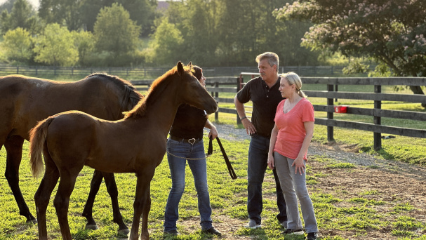 HorseSensing