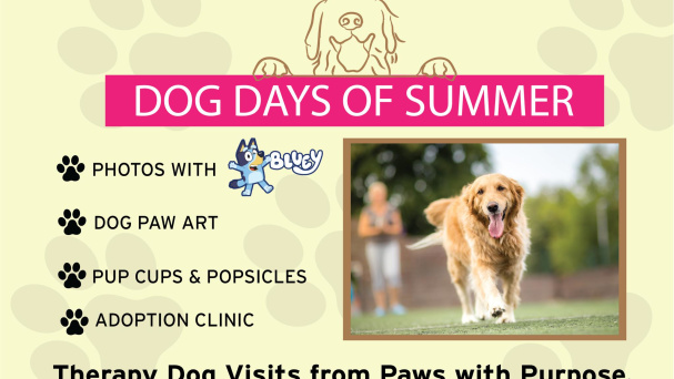 Dog Days of Summer