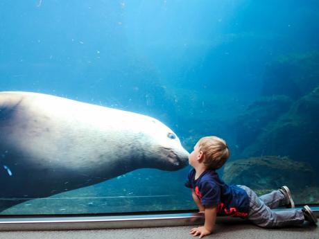 SeaLife2