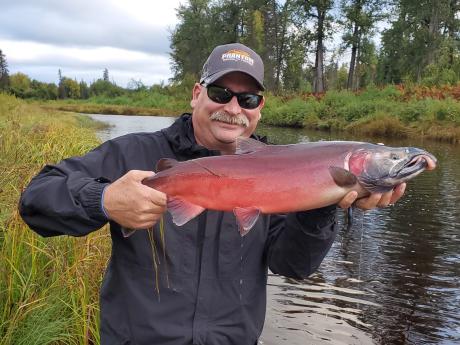 Coho Salmon