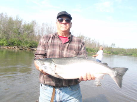 Big Alaska Silver Salmon