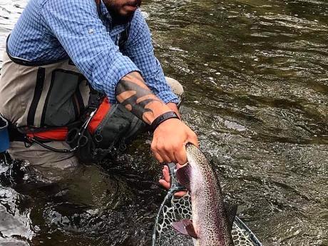 It won't fit in the net