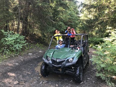 Rainforest Journey
